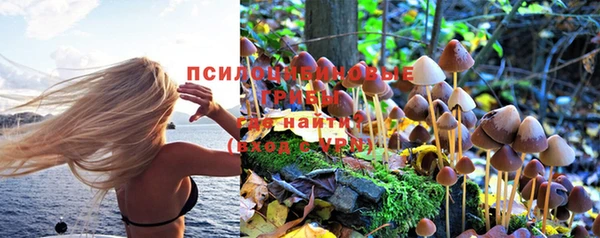 не бодяженный Алзамай