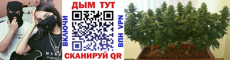Бошки Шишки план купить наркотик Шелехов